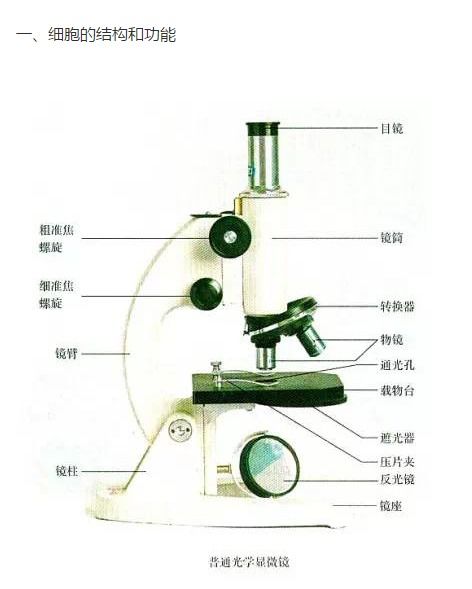 高中生物学基础图像考点与生物基材料技术研发
