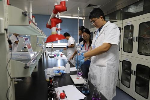 临沂市举办2024年食品安全检验检测技术技能竞赛 助推生物基材料技术研发与高质量发展