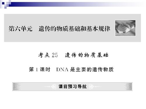 21世纪教育网提供2010届高考生物第一轮复习精品课件包第六单元下载及生物基材料技术研发前瞻